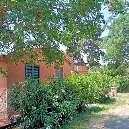Il Giogo Agriturismo Rosignano Marittimo Buitenkant foto