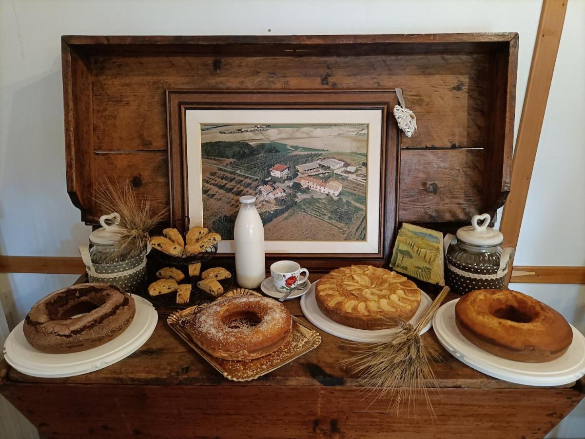 Il Giogo Agriturismo Rosignano Marittimo Buitenkant foto