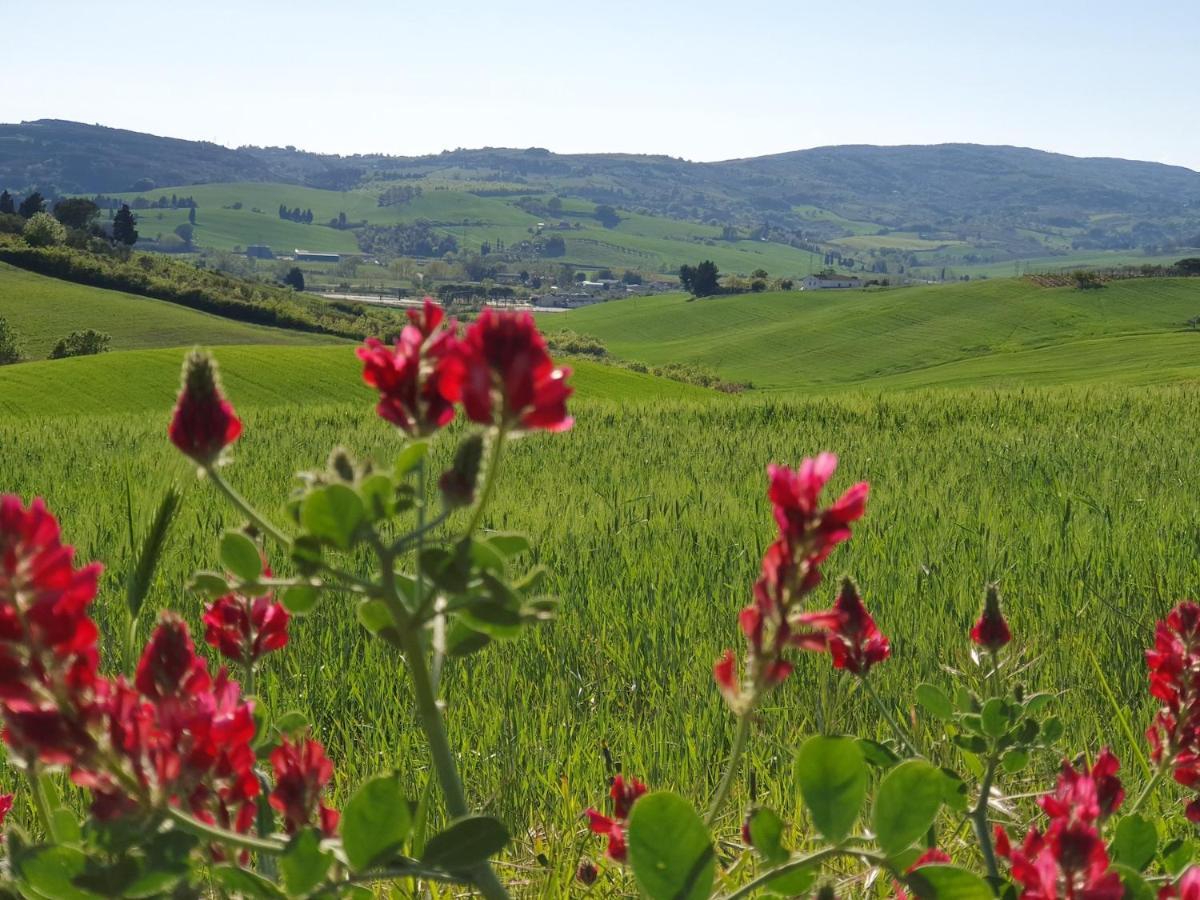 Il Giogo Agriturismo Rosignano Marittimo Buitenkant foto