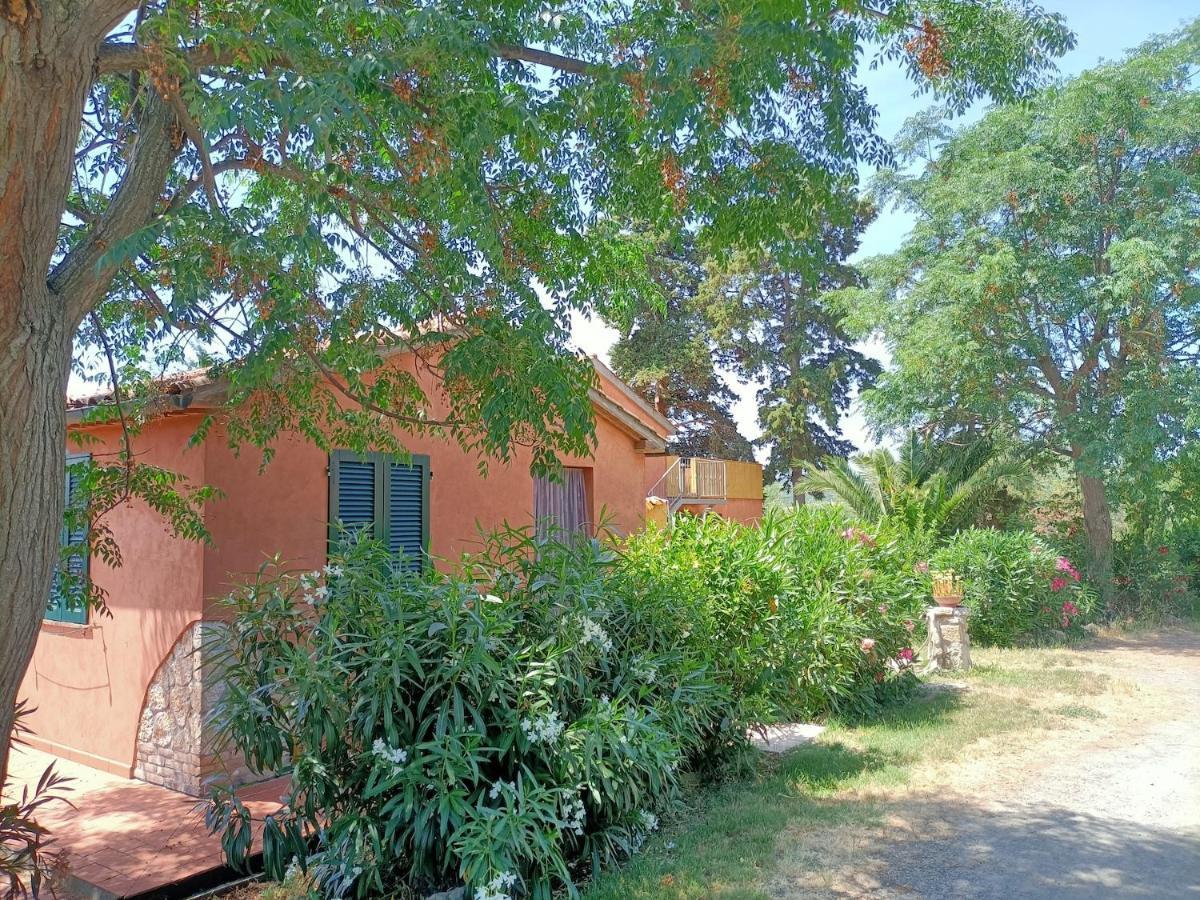 Il Giogo Agriturismo Rosignano Marittimo Buitenkant foto