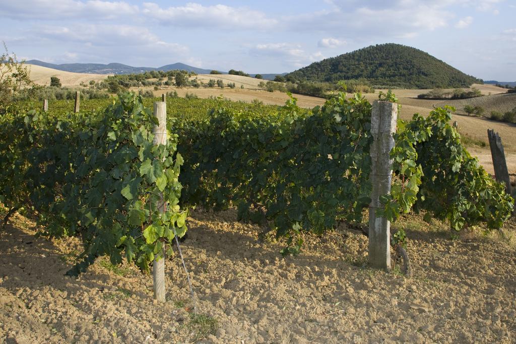 Il Giogo Agriturismo Rosignano Marittimo Buitenkant foto