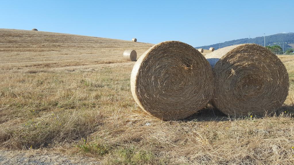 Il Giogo Agriturismo Rosignano Marittimo Buitenkant foto