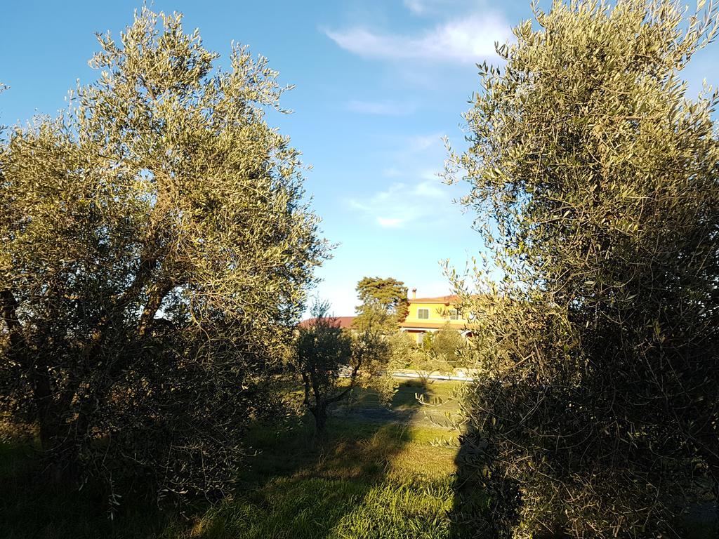 Il Giogo Agriturismo Rosignano Marittimo Buitenkant foto